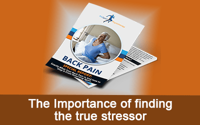 The Number 1 Way Of Getting Rid Of Lower Back Pain In Huddersfield
